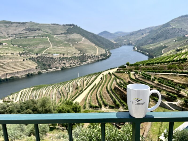 Against the Terraced Hills of the Douro River Valley in Portugal